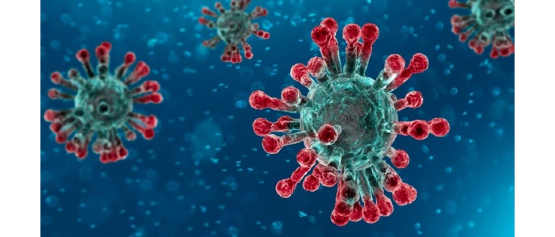 https://www.eska.it/image/cache/catalog/News/007_2020_coronavirus-1920x820.jpg