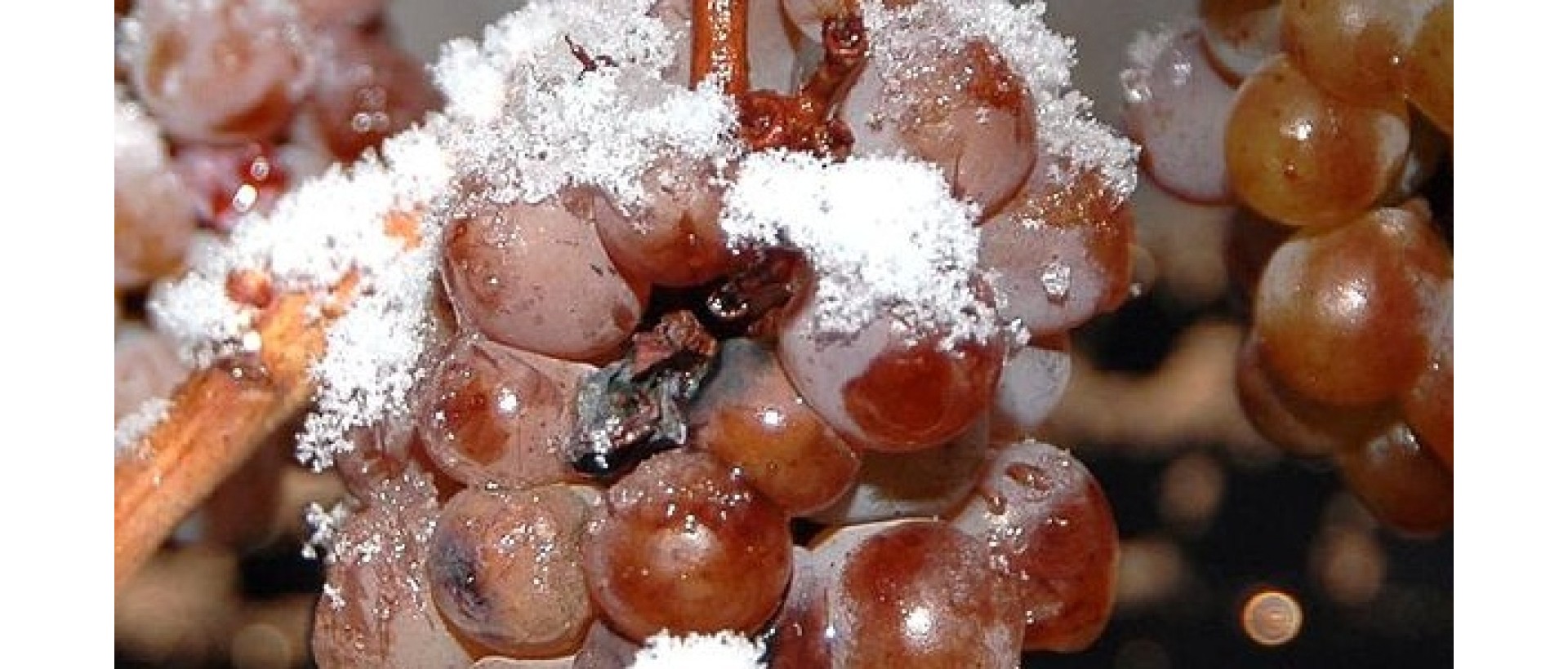 https://www.eska.it/image/cache/catalog/News/037_ice_wine-1920x820.jpg