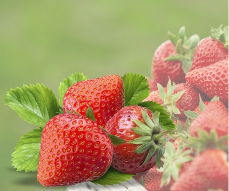 AROMA FRAGOLA