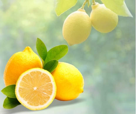 AROMA LIMONE colorato